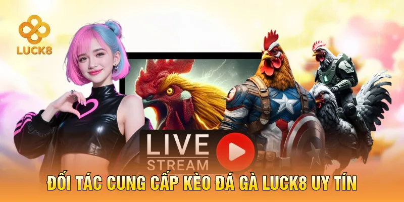 Đối tác cung cấp kèo đá gà LUCK8 uy tín